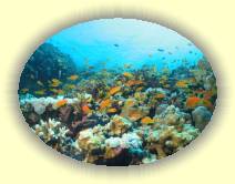 IMG_2007_05_26 18_43_59 * 2242 x 1680 * (569KB)
